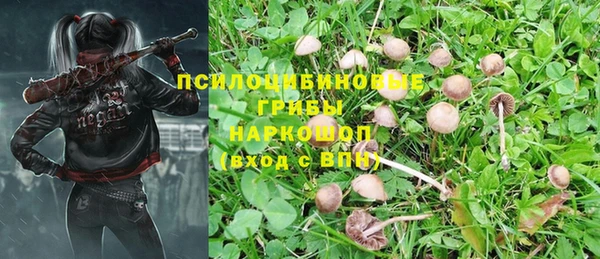 СК Лиски
