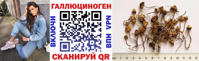 наркотики  mega ONION  darknet наркотические препараты  Лобня  Галлюциногенные грибы прущие грибы 