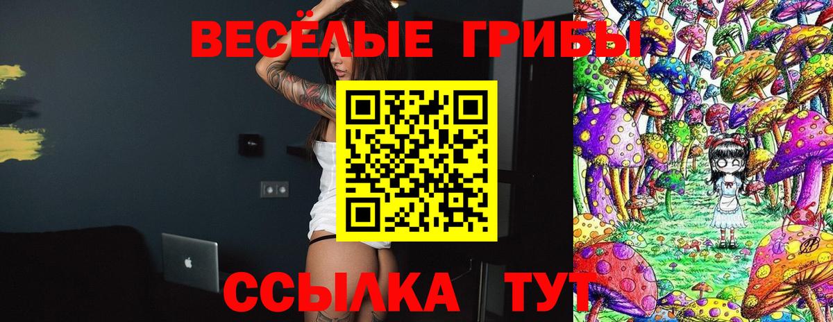 Галлюциногенные грибы мицелий  Лобня 