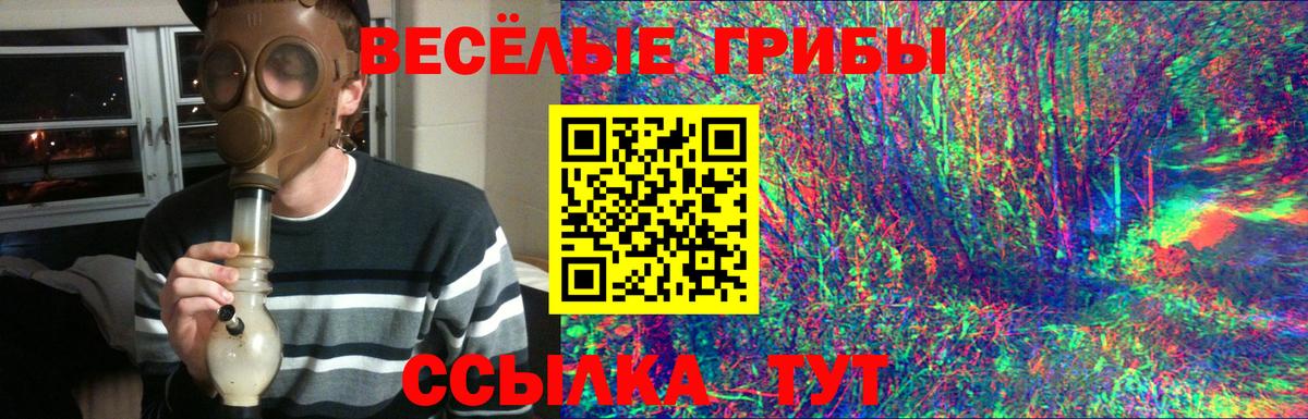 Лобня  Галлюциногенные грибы Psilocybine cubensis  где найти   Вход с VPN 