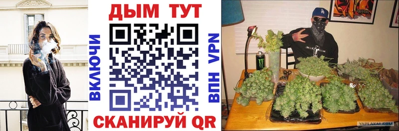 где купить наркоту  сайты даркнета официальный сайт  Бошки Шишки VHQ  Лобня 